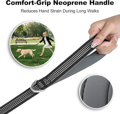 Plutus Pet Heavy Duty Dog Leash with Lockable Aluminum Carabiner, 4/6 Feet Long, Double-Sided Reflective Nylon, Padded Handle, for Puppy, Small, Medium and Large Dogs (Black, 4/5" x 6')