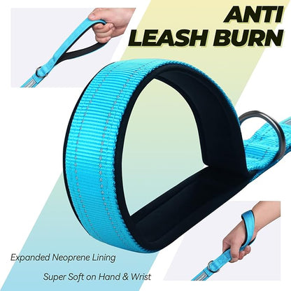 VIVAGLORY Dog Leash Twingrip Double Handle Dog Leash with Traffic Handle Control & 2 Loop for Walking & Training, Reflective Heavy Duty for Puppy Pet Collar, 5ft x 1in, Lake Blue