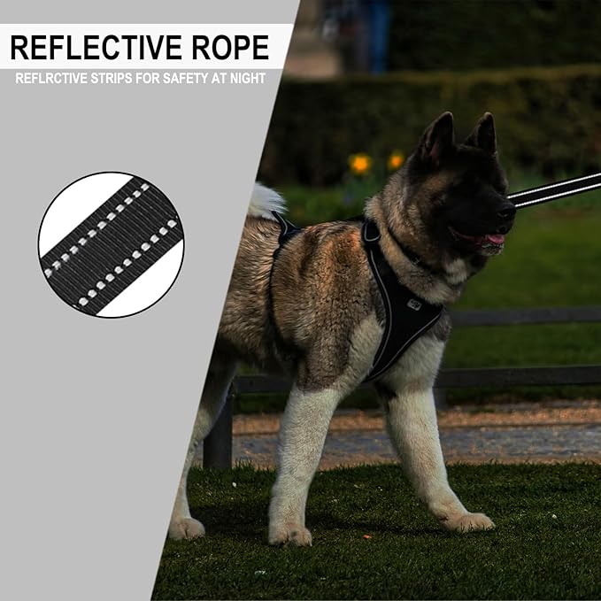 Dog Leash 6 FT, Double Sided Reflective Dog Leash with Soft Padded Handle, Durable Metal Snap Hook Nylon Heavy Duty Leashes for Small Medium and Large Dogs, 1 Inch Wide, Black