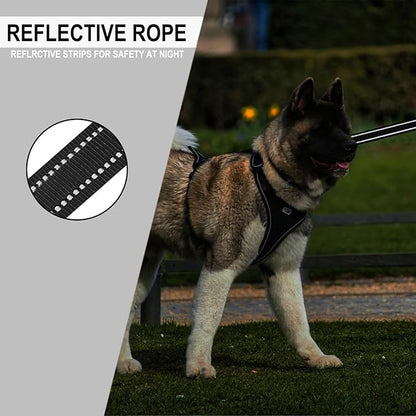Dog Leash 6 FT, Double Sided Reflective Dog Leash with Soft Padded Handle, Durable Metal Snap Hook Nylon Heavy Duty Leashes for Small Medium and Large Dogs, 1 Inch Wide, Black