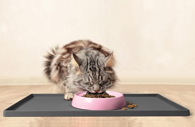 CatGuru Cat Bowls, Whisker Friendly Food Bowl for Indoor Cats, Reliefs Whisker Fatigue, Wide Kitten Dish, Non Slip Pet Dishes, Shallow Pet Plates (Pink, (Pack of 2))