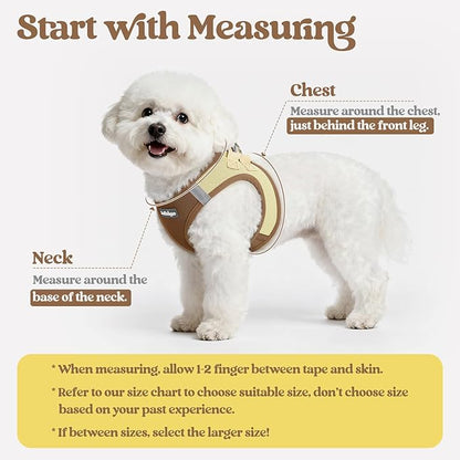 rabbitgoo Dog Harness Small Sized and Leash Set, Step in Soft Light Puppy Vest, Breathable Mesh Pet Harness, Reflective for Safe Easy Walking, Brown & Beige XXS