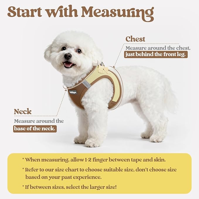 rabbitgoo Dog Harness Small Sized and Leash Set, Step in Soft Light Puppy Vest, Breathable Mesh Pet Harness, Reflective for Safe Easy Walking, Brown & Beige M