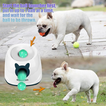 Automatic Ball Launcher for Dogs, Dog Fetch Ball Thrower Launcher, 4 Adjustable Distances, Interactive Pet Self Playing for Small Dogs and Puppies with 10 Balls (2 inches)