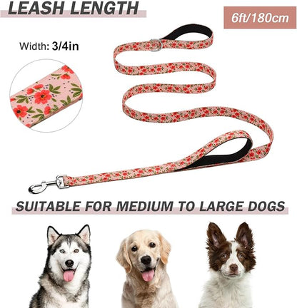 Hikiko 6 Foot Double Handle Dog Leash Cute Girl Padded Traffic Handles for Walking Training (Cream Natural Floral, 6ft)