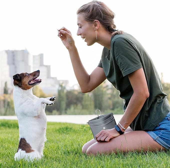 Dog Treat Pouch – Dog Training Pouch with Waterproof Oxford Fabric, Hands-Free Design, Carabiner Clip, Front Pocket, Self-Closing for Outdoor Walks & Puppy Training (Grey)