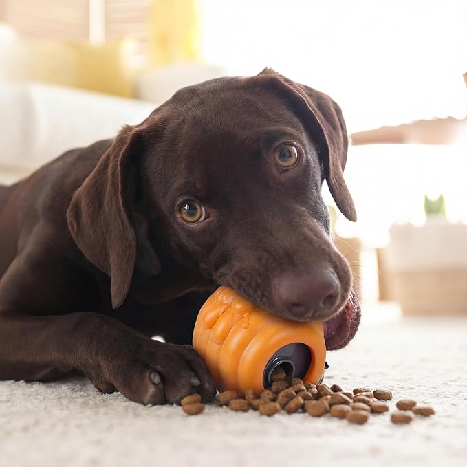 1 Pack Large Dog Toys for Aggressive Chewers, Dog Treat Dispensing Toy to Keep Them Busy, 2-in-1 Fillable Holder with 2 Cups and Food-Dispensing Lids for Large Medium (Yellow)