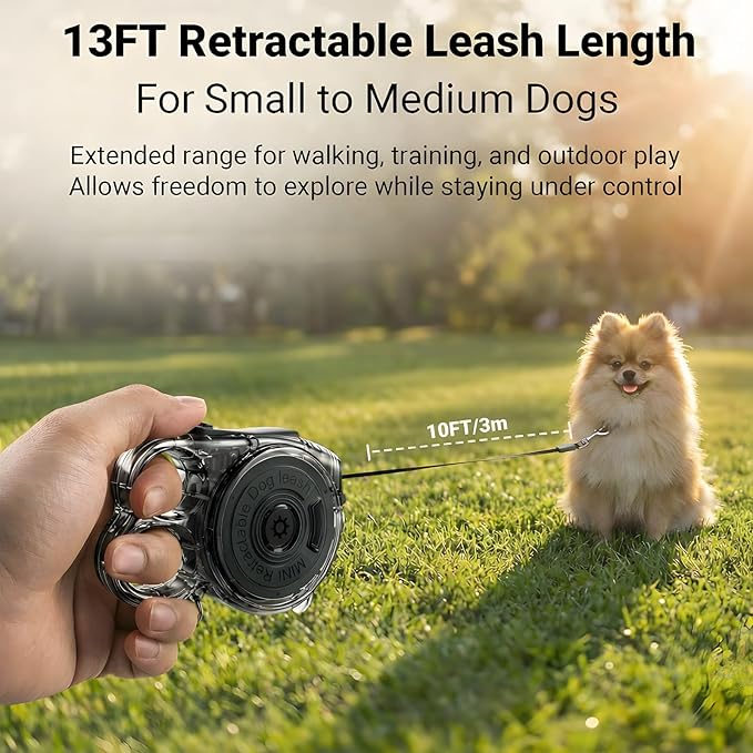 Retractable Dog Leash for Small Dogs, 10ft Retractable Leash for Puppies Up to 26 lbs, 360° Tangle-Free Heavy Duty Nylon Tape, One-Handed Brake Pause Lock, Reflective Strip for Safe Night Walking