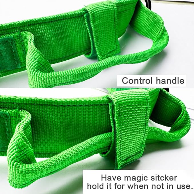 Xqpetlihai Tactical Dog Collar - Adjustable Nylon, Heavy Duty Metal Buckle with Handle for Dog Training (Bright Green, XXL)