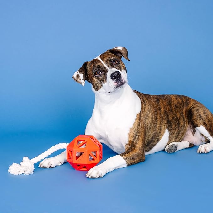 Fringe Studio Pull My Way RED Rubber Dog Toy, Pet Shop Collection (518031)