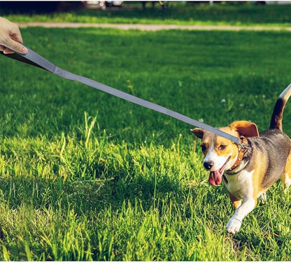 FunTags 4FT Reflective Dog Leash with Soft Padded Handle for Training,Walking Lead for Medium & Small Dogs,3/4 Inch Wide,Grey