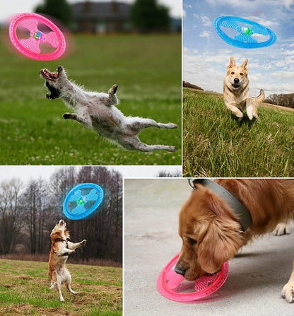 Flying Disc Dog Sport Toy with Flashing LED Lights, Light Up Pet Disk for Ultimate Night Time Play, Blue
