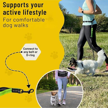 Hundefreund Hands-Free Dog Leash Replacement Bungee (43–63”) – Extension for Small Dogs – Shock-Absorbing with Dual Handles & Reflective Stitching (Green)