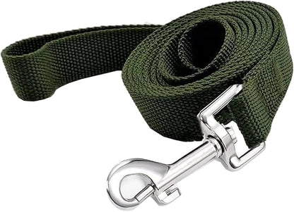 TAIAN 4FT/5FT/6FT Strong Dog Leash, Nylon Dog Leashes for Small Medium Large Dogs (1 in x 4 ft, Green)