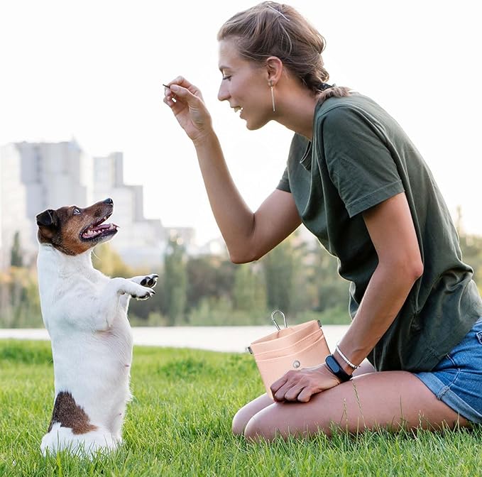 Dog Treat Pouch – Dog Training Pouch with Waterproof Oxford Fabric, Hands-Free Design, Carabiner Clip, Front Pocket, Self-Closing for Outdoor Walks & Puppy Training (Pink)