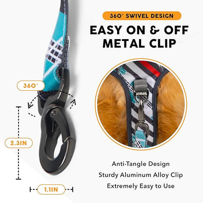 Embark Adventure Dog Leash – Strong & Sturdy for Small, Medium & Large Dogs (Maverick, 5 Ft)