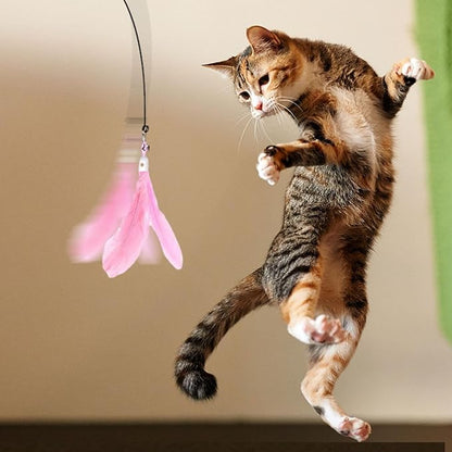 Cat Wand Toy - Flexible Feather Teaser Stick, Detachable Cat Play Wand | Interactive Cat Toy with Suction Cup, Easy-to-Install Cat Exercise Stick Toy, Cat Entertainment Wand for Exercise and Fun