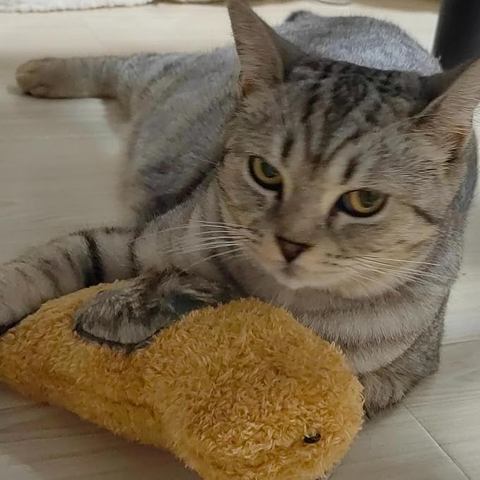 Cat Toy Stinky Paws, Filled with Valerian Catnip, Hang Anywhere, Features Crinkle Paper and Rattle, Multi-Function Interactive Cat Toy, Suitable for All Cat Breeds