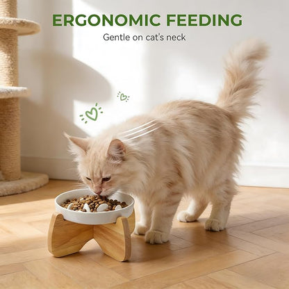 Raised Cat Bowls, 6.3'' Flat & Slow Feeder Bowl, Wide Ceramic Elevated Shallow Slow Eating Cat Bowl for Dry/Wet Food, Anti-Vomiting Pet Puzzle Feeder, Whisker Friendly, Dishwasher Safe (2 Pack)