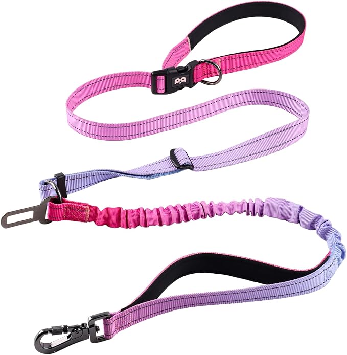 QQPETS Hands Free Dog Leash with Car Seat Belt, Adjustable No Pull Bungee Dog Running Waist Leash, Versatile Crossbody Rope for Walking, Jogging and Hiking