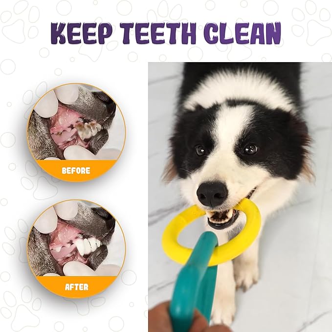 Tug of War Dog Toy – Interactive Toy for Aggressive Chewers, Puppy Teething, Dog Toys to Keep Them Busy