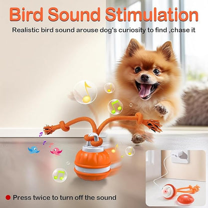 2pcs P06 Interactive Dog Toys Dog Balls, Electric Automatic Moving and Rolling Dog Toy with Rope for Small Medium Dogs, Fun Smart Puppy Toy s for Boredom & Training, Dog Toys to Keep Them Busy (B+O)