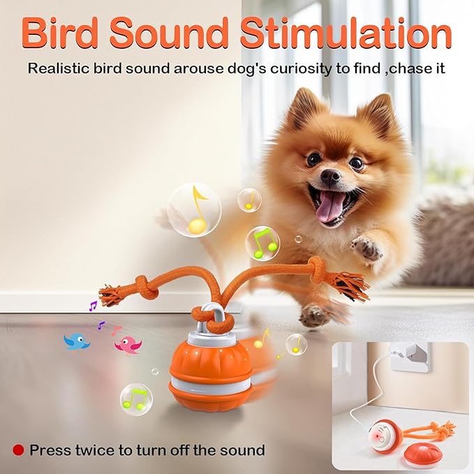 P06 Interactive Dog Toys Dog Balls, Electric Automatic Moving and Rolling Dog Toy with Rope for Small Medium Dogs, Fun Smart Puppy Toy s for Boredom & Training, Dog Toys to Keep Them Busy (Orange)