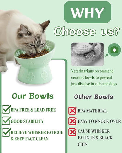 TRUVIC Ceramic Slow Feeder Cat Bowl, 15° Tilted Elevated Cat Slow Eating Bowl for Neck Protection, Anti Vomiting Dog Slow Feeder, Whisker Friendly & No Black Chin for Cats and Small Dogs, Green