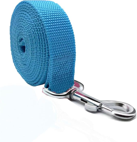 TAIAN 5 FT Strong Dog Leash, Nylon Dog Leashes for Small Medium Large Dogs Blue