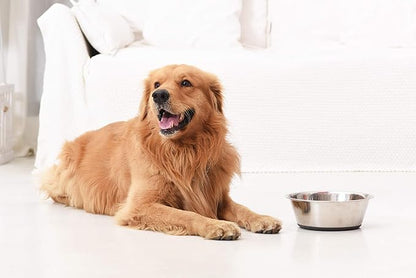 PEGGY11 Deep Stainless Steel Anti-Slip Dog Bowls - 2-Pack, 6 Cups