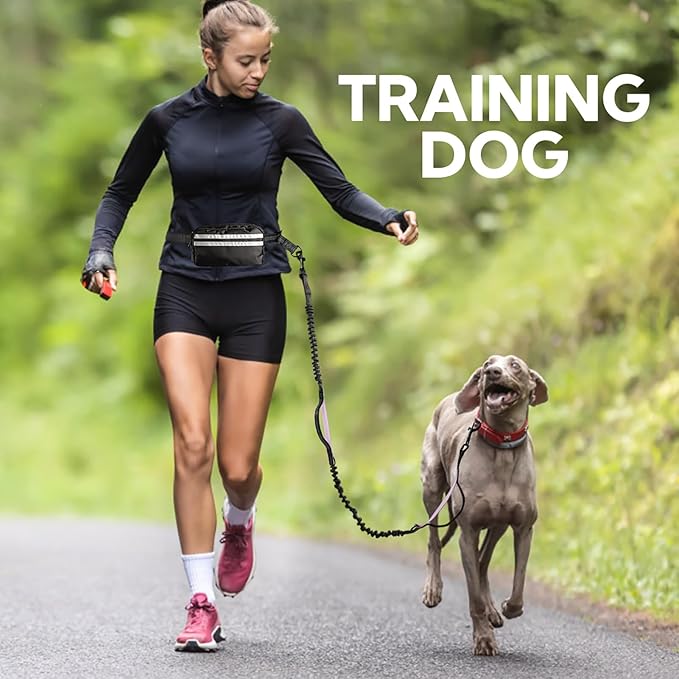 Hands Free Dog Leash, Shcok Abosoring Bungee with Double Padded Handles, Waist Leash for Dog Walking, with Bungee for Medium & Large Dog, Black Purple