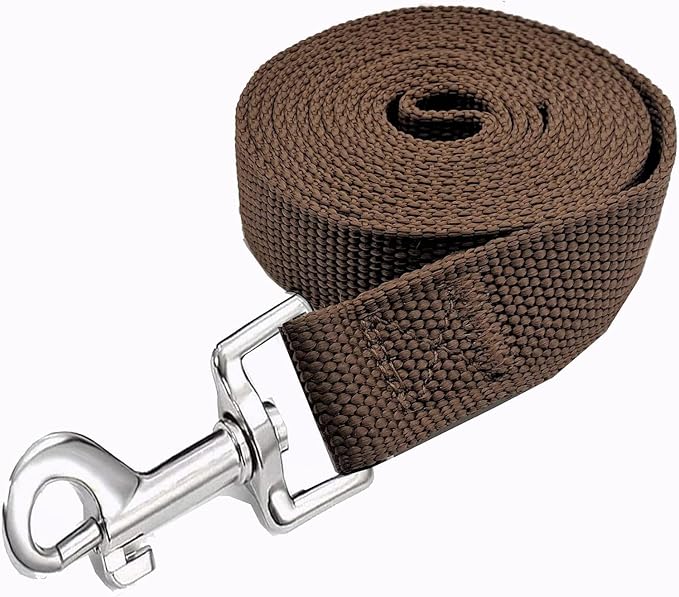 Strong Nylon Dog Leash, 4FT/ 5 FT/ 6FT Dog Leashes for Small Medium Dogs