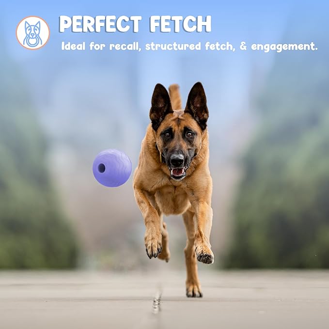 Foam Fetch Ball for Dogs – Durable EVA Foam Dog Ball, Interactive Chew Toy for Dogs, Lightweight Floating Ball for Water, Pool & Outdoor Fetch Games (Purple, Medium)
