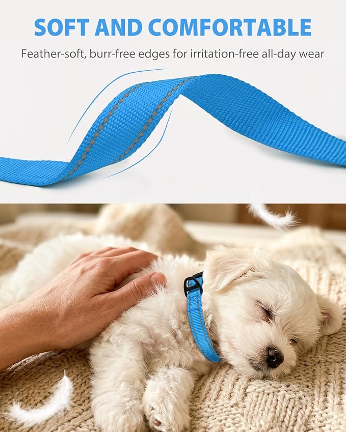 Joytale Dog Collars for Small Dogs, Feather-Light Double-Sided Reflective Nylon Collar for Night Safety, Adjustable Quick-Release for Growing Puppies, Sky Blue, S (5/8" Width)