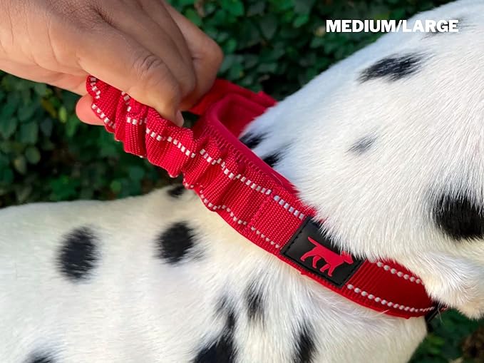 Tuff Pupper Heavy Duty Dog Collar with Handle | Ballistic Nylon Heavy Duty Collar | Padded Reflective Dog Collar with Adjustable Stainless Steel Hardware | Convenient Sizing for All Breeds