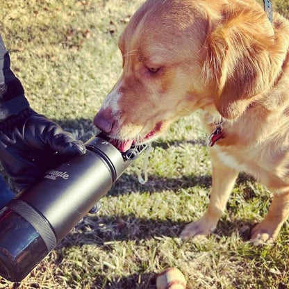 Stainless Steel Dog Travel Water Bottle, Double-Wall Vacuum Insulated Portable Dog Water Dispenser, Drink Cup and Snack Container On The Go, Outdoor Walking, Hiking, Travel, Water Bottle