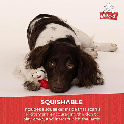 Multipet Lamb Chop Dog Plush Toy - Squeaky Toy for All Dogs - Extra Soft Plush - Stuffed Animal Dog-Toy for Cuddling & Playing - Cute Pet-Toy (6",Cream),(Pack of 3)