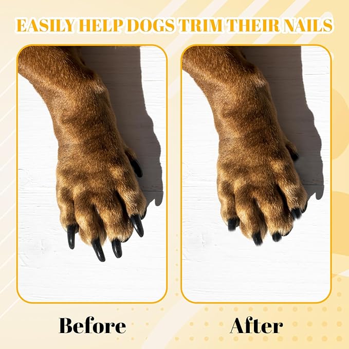 9Pcs Dog Nail File Board, Nail File for Dogs, Dog Nail Scratch Board Suitable for Regular Pet Grooming Routines and Nail Maintenance
