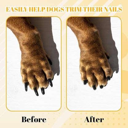 9Pcs Dog Nail File Board, Nail File for Dogs, Dog Nail Scratch Board Suitable for Regular Pet Grooming Routines and Nail Maintenance