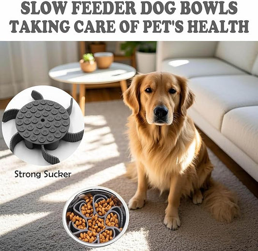 Dog Slow Feeder Bowls - Silicone Spiral&Dog Bowl pet Folding,Suitable for Large,Medium and Small Dogs to eat,pet Food Feeder Inserted to Slow Down Speed，with pet Collapsible Bowls (Blue)