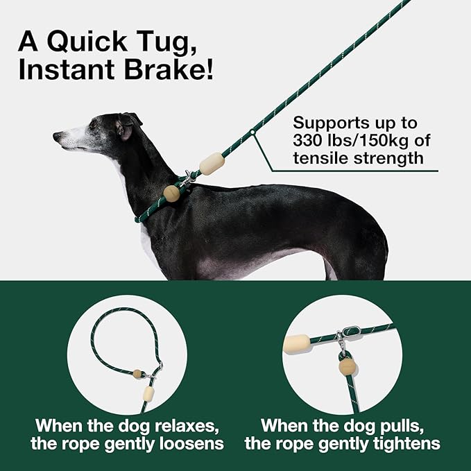 VETRESKA Hands-Free Dog Leash, 8FT Rope Leash for Medium Large Dogs, Waist/Crossbody Slip Lead Leashes for Walking, No Pull Dog Leashes with Bag Dispenser, 2 in 1 Walk Kit (Santal Forest)