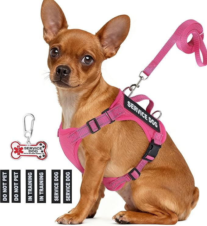 Service Dog Vest for Small Breed Dogs with ID Tag – Lightweight Puppy Harness and Leash Set with 6 PCS Patches, Ideal Service Animal Vest for Training, Complete Service Dog Gear, Hot Pink, XS