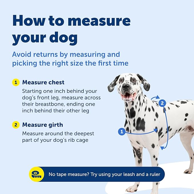 PetSafe Easy Walk Harness for Dogs - Pull-Free Walks - Patented Martingale Loop Design - Front Chest Leash Attachment - Comfort Straps - Breathable Harness Design - Small, Black/Silver