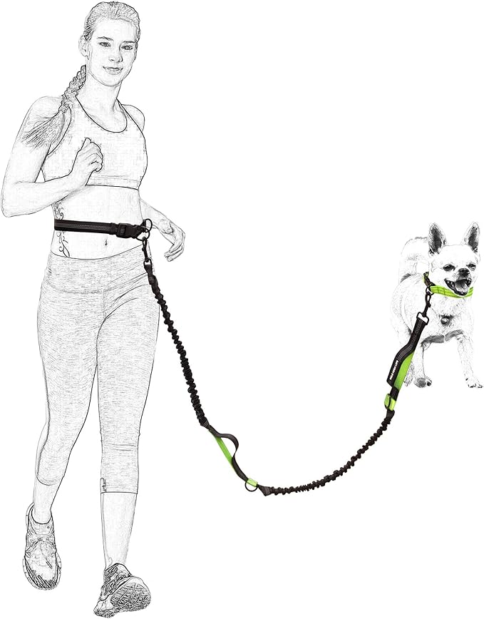Mile High Life Hands Free Waist Leash for Dog Running Training and Jogging, Adjustable Belt with Double Handle, Reflective Bungee for Medium Large Dogs (Blue, 7FT)