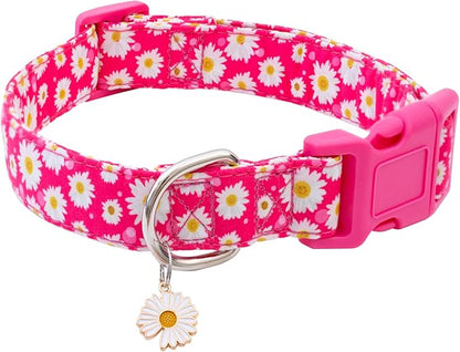 Faygarsle Cotton Dog Collar Cute Dog Collars for Small Medium Large Dogs Hot Pink Floral Colored Options Soft and Fancy Pet Collars for Girls Flower Pattern for Girl Dog Collar XS