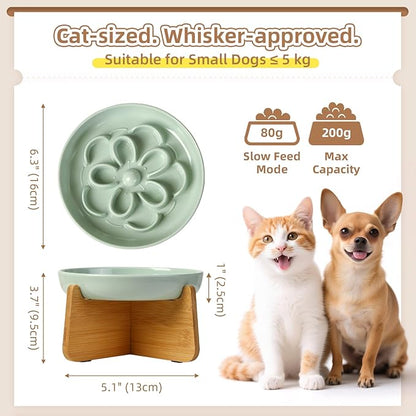 Elevated Slow Feeder Cat Bowl - Melamine Cat Dish with Anti-Slip Bamboo Stand - Whisker Friendly Feeding Bowl - Floral Maze Food Plate for Slow Eating - Green