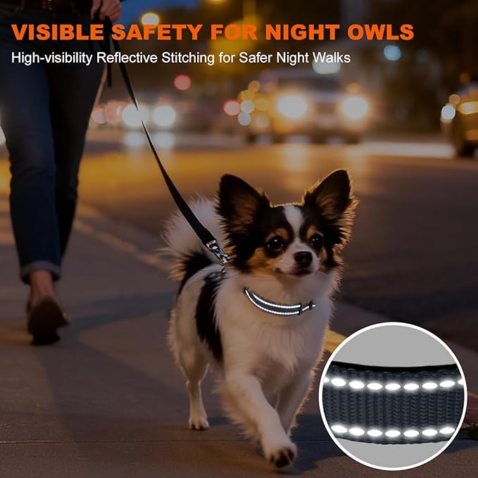 Taglory Reflective Dog Collar with Safety Locking Buckle, Soft Neoprene Padded Dog Collar for Puppy Dogs, Metal D-Ring, Adjustable Nylon Neck Strap for Daily Walking, Training & Running, Grey, XS