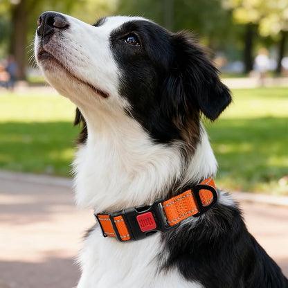 Taglory Reflective Dog Collar with Safety Locking Buckle, Soft Neoprene Padded Dog Collar for Medium Dogs, Metal D-Ring, Adjustable Nylon Neck Strap for Daily Walking, Training & Running, Orange, M