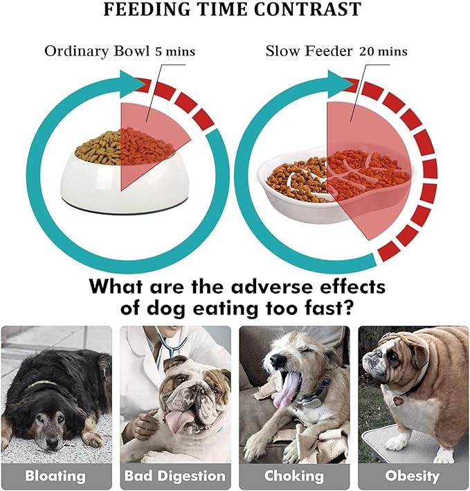 Ceramic Slow Feeder Cat Dog Bowls - Unique Fishbone Fun Interactive Design Feeder Bowl,Preventing Pet Feeder Anti Gulping Healthy Eating Diet Pet Bowls Against Bloat,Indigestion and Obesity