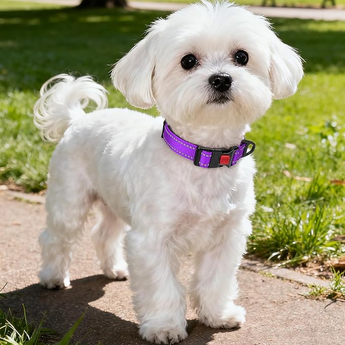 Taglory Reflective Dog Collar with Safety Locking Buckle, Soft Neoprene Padded Dog Collar for Small Dogs, Metal D-Ring, Adjustable Nylon Neck Strap for Daily Walking, Training & Running, Purple, S